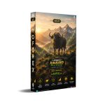 Angus XAUUSD Pro Trend EA V2.21 MT5