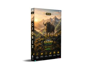 Popular Blogs 17 Angus XAUUSD Pro Trend EA V2.21 MT5