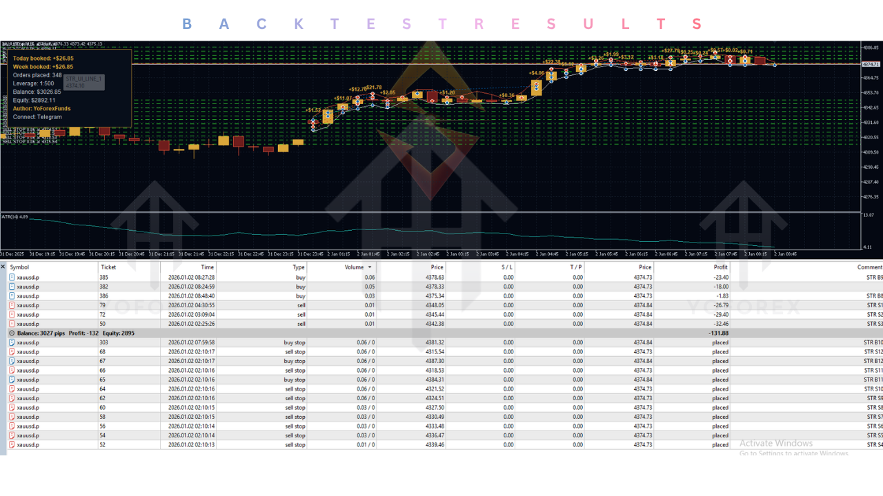 Straddle EA V1.9 MT5