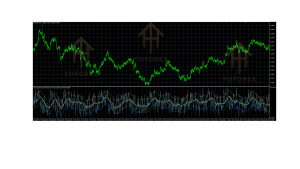 Tarzan INDICATOR V1.00 MT5 2 TEAM SEO 2026 08 05T122333.911