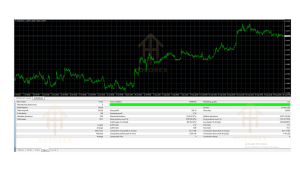 Hunting Cat Scalper EA V3.0 MT4 3 Hunting Cat Scalper EA V3.0 MT4
